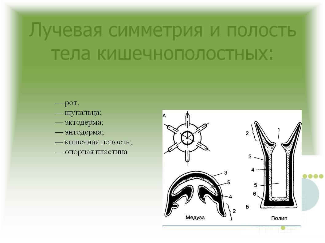 Регистрация на кракен