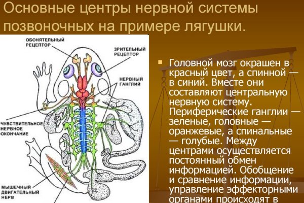 Kraken в россии